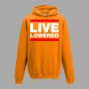 College hoodie Thumbnail